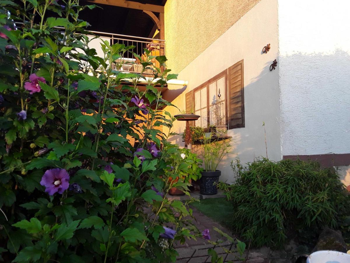 MomlingenHaus Sonnenblickアパートメント エクステリア 写真